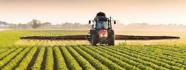 农业试点移民-Agri-food Pilot